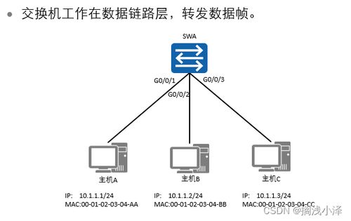 常见的网络设备概述